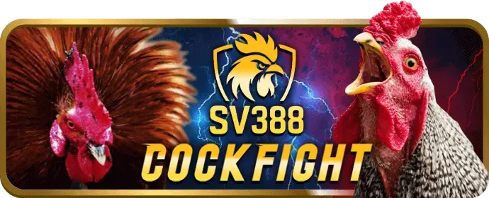 Phản hồi nhanh chóng ty88 win